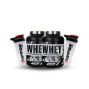 2 WHEY PERFORMANCE 5 LIBRAS + 2 SHAKER - Vainilla / Frutilla