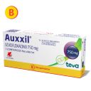 Auxxil