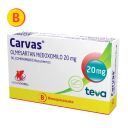 Carvas