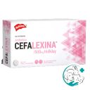 Cefalexina