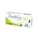 Dahlia 20