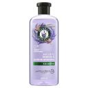 Shampoo Lavanda & Aceite De Almendras