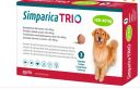 Simparica Trio >20-40 Kg