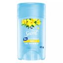 Secret 5X Fresh Defense Clear Gel Vanilla 45 g