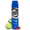 Speed Stick Stain Guard 48H Spray 150 ml