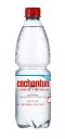 Cachantún Agua Mineral Sin Gas 600 ml