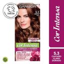 Garnier Cor Intensa 5/3 castaño claro dorado
