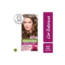 Garnier Cor Intensa 6/0 rubio oscuro