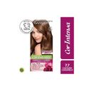 Garnier Cor Intensa 7/7 castaño caramelo