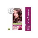 Garnier Cor Intensa 5/52 castaño claro caoba