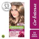 Garnier Cor Intensa 7/1 Rubio Ceniza