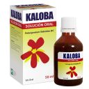 Kaloba Pelargonium Sidoides 80 Solución 50 mL