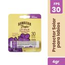 Protector Solar Labial Fps 30 4 grs
