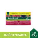 Palmolive Naturals Toque Nutritivo Frambuesa y Mora 85 g 6 un
