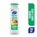 Ballerina Shampoo Ondas y Rizos Controlados 750 ml