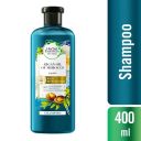 Renew Repair Argan Oil Of Morocco Shampoo 400ml