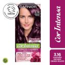Garnier Cor Intensa 3.16 Castaño Oscuro Ceniza Rojizo