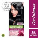 Coloración 1.0 Negro Intenso Garnier