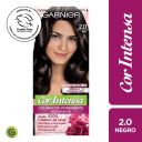Garnier Cor Intensa 2.0 Negro 113 g