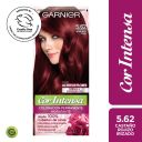 Garnier Cor Intensa 5.62 Castaño Rojizo Irizado