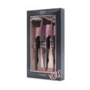 Beauty 100 Set Brochas Rostro X3