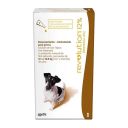 Revolution Perro 12% 5 - 10Kg (0.5Ml)