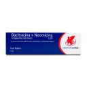 Bacitracina 500 UI neomicina 5 mg ungüento dérmico 15 g