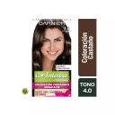 Garnier Nutrisse Cor Intensa 4.0 Castaño x 1 Unidad