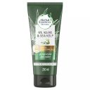 Acondicionador Bio:Renew 6X Aloe & Sea Kelp 250ml
