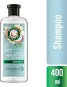 Shampoo Agua de Coco Y Jazmin