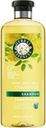 Shampoo Classic Shine