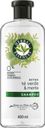 Shampoo Detox Te Verde Y Menta