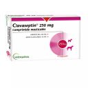 Clavaseptin 250 mg x 10 Comprimidos Masticables - Amoxicilina + Ác. Clavulánico