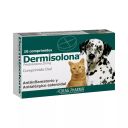 Dermisolona 20 mg x 10 Comprimidos para Perros y Gatos - Prednisolona