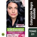 NUTRISSE COR INTENSA # 21 NEGRO AZULADO