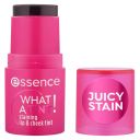 Essence What a Tint 010 Tinta Barra Labios y Mejillas