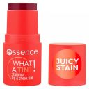 Essence What a Tint Tinta Barra para Labios y Mejillas 020