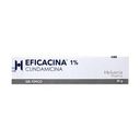EFICACINA 1% GEL TOPICO 30 GR.