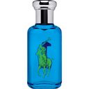 Ralph Lauren Big Pony Blue Men EDT 50 ml