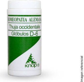Knop Thuja Occidentalis D6 Glóbulos 15 g