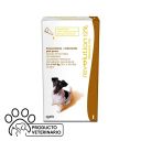 Revolution 12% Pipeta Perros 5,1-10kg