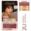 Tintura Excellence Sin Amoníaco Nudes 2U