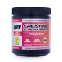Winkler Nutrition Creatina Monohidrato Ultra Micronizada 300 g