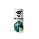 Spartan Magnesio + B6 Suplemento 310 ml - Lima Limón