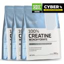 OstroVit Creatina 300 g - Monohidrato de Creatina Micronizado