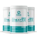 Focus Nutrition Creatine Monohydrate Pack 3x300 g Unflavored